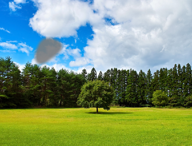 見え方の違い 正常