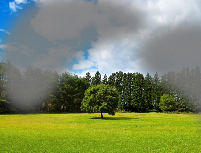 見え方の違い 白内障