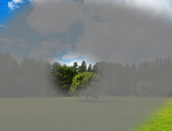 見え方の違い 白内障